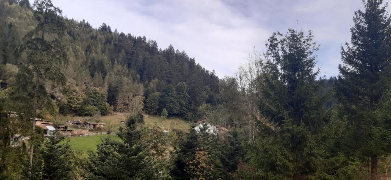 Le Montagnard Lejlighed Gérardmer Eksteriør billede