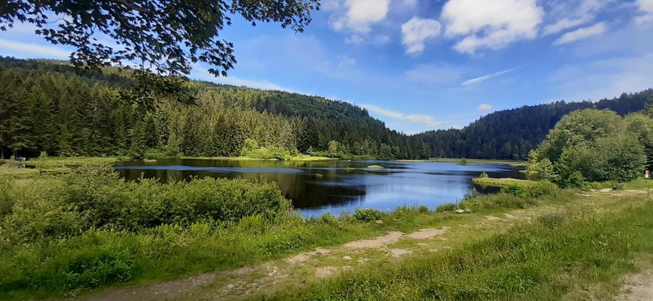 Le Montagnard Lejlighed Gérardmer Eksteriør billede