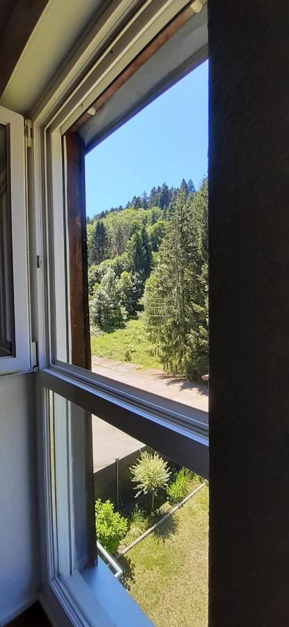 Le Montagnard Lejlighed Gérardmer Eksteriør billede
